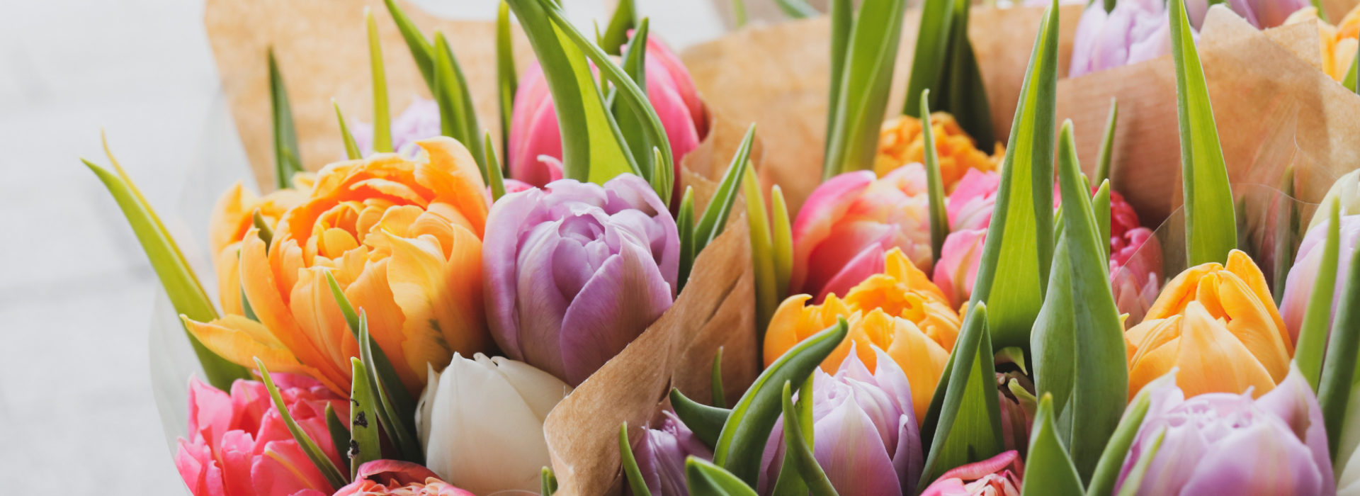 Spring Bulb Fundraiser Benefitting AFHS